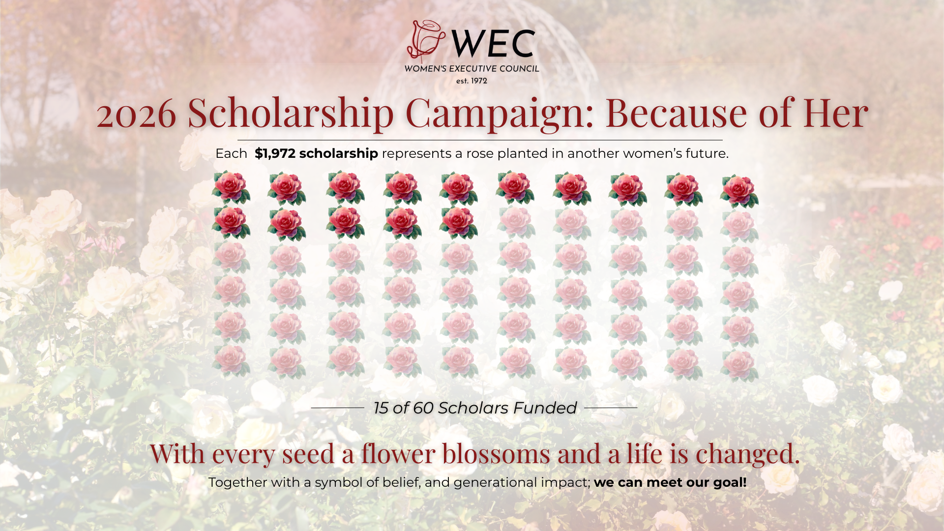 Womens Executive Council